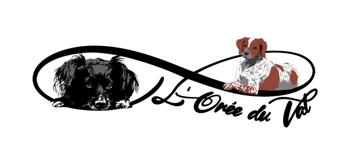 TOUTOUS SCHOOL ACADEMY EDUCATION CANINE